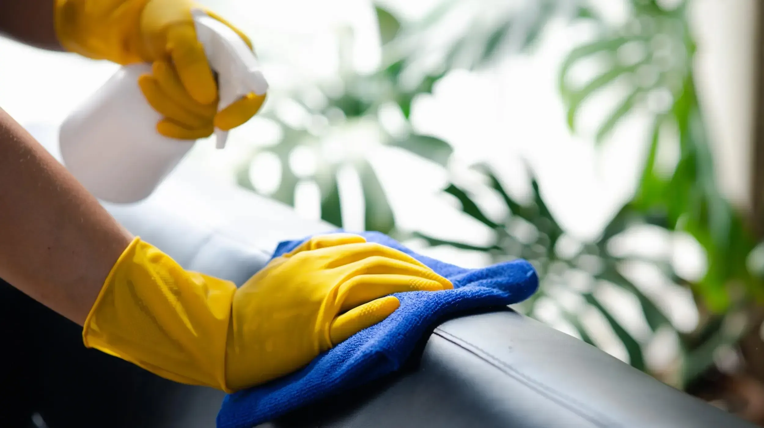 SparklePro professional carefully dusting a bookshelf with eco-friendly products.